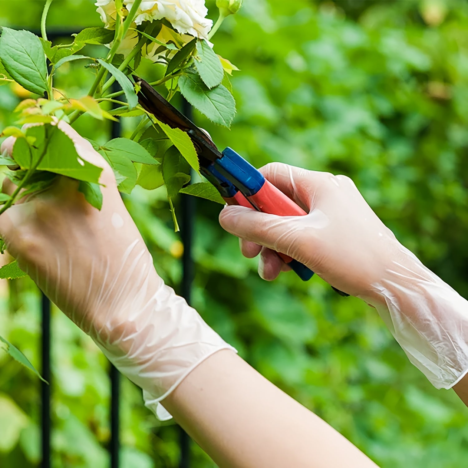 PVC Gloves, Disposable Vinyl Gloves, 4.8milThickened, Oil-proof And Waterproof, Durable\u002F Not Easy To Break\u002F High Elasticity, For Kitchen Cooking, Cleaning, Food Processing, Etc.